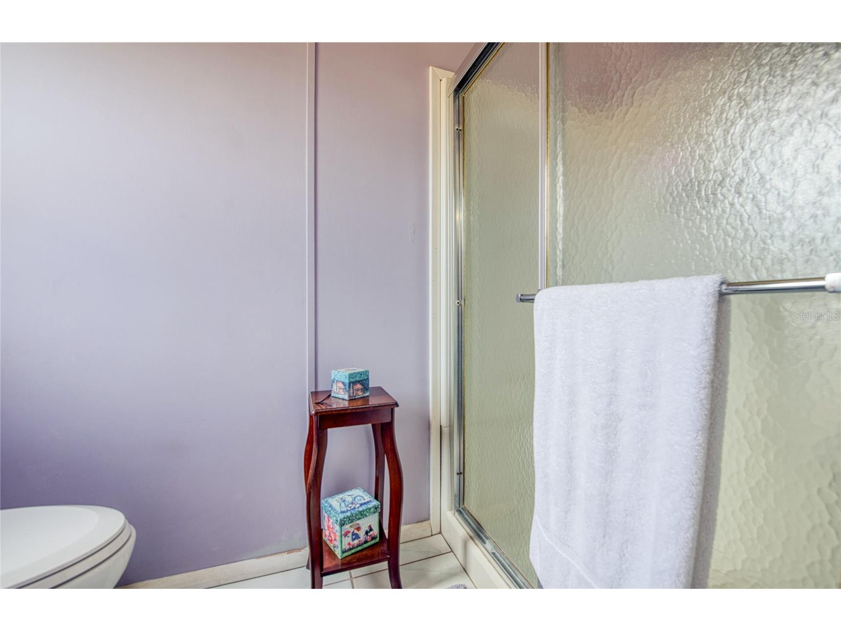 258 Pelican Drive N Oldsmar FL 34677 TB8508713 image20
