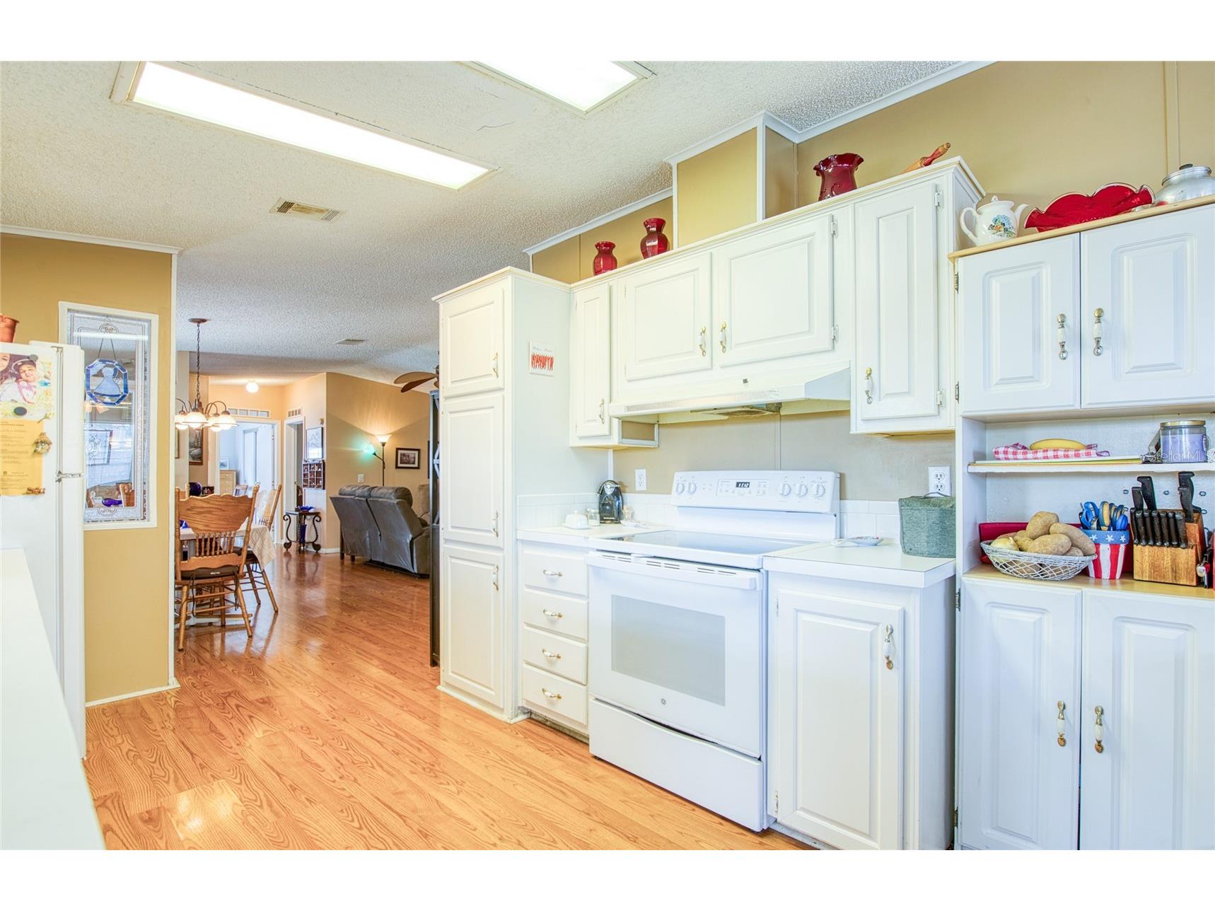 258 Pelican Drive N Oldsmar FL 34677 TB8508713 image7