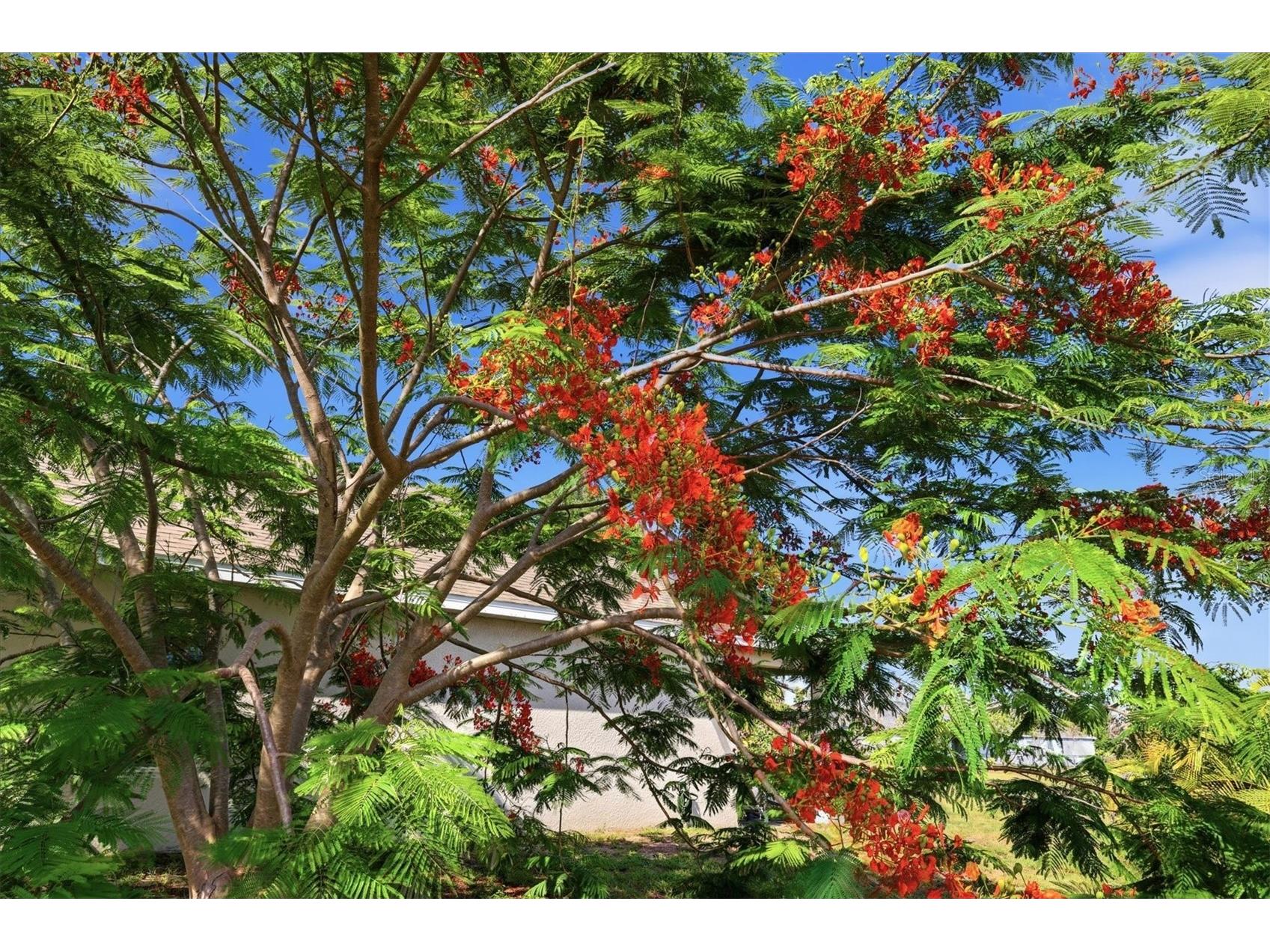 258 Rio De Janeiro Avenue Punta Gorda FL 33983 A4693994 image24