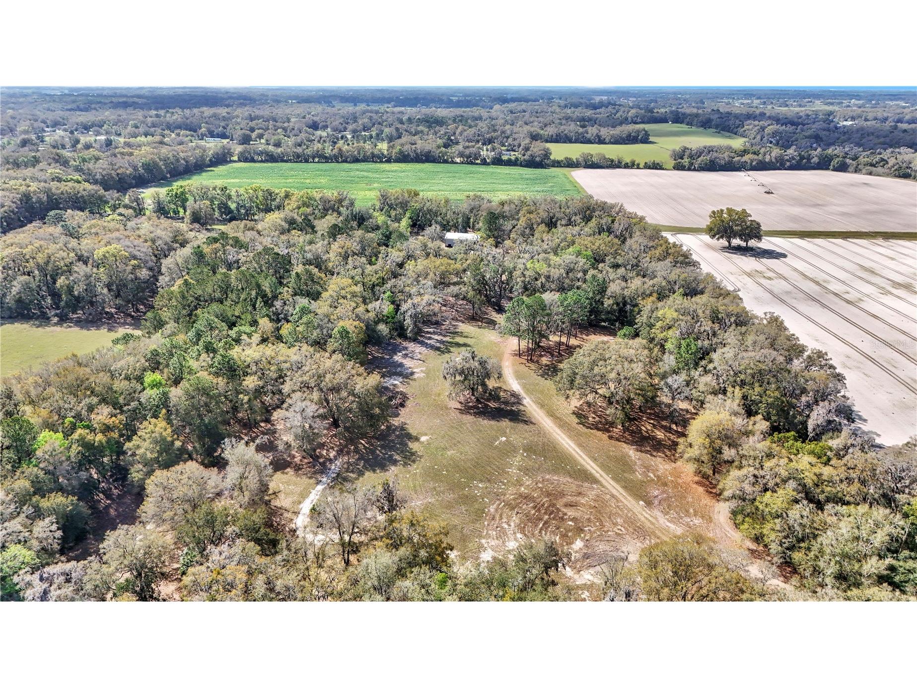 2580 NE 140th Street Citra FL 32113 O6382681 image1