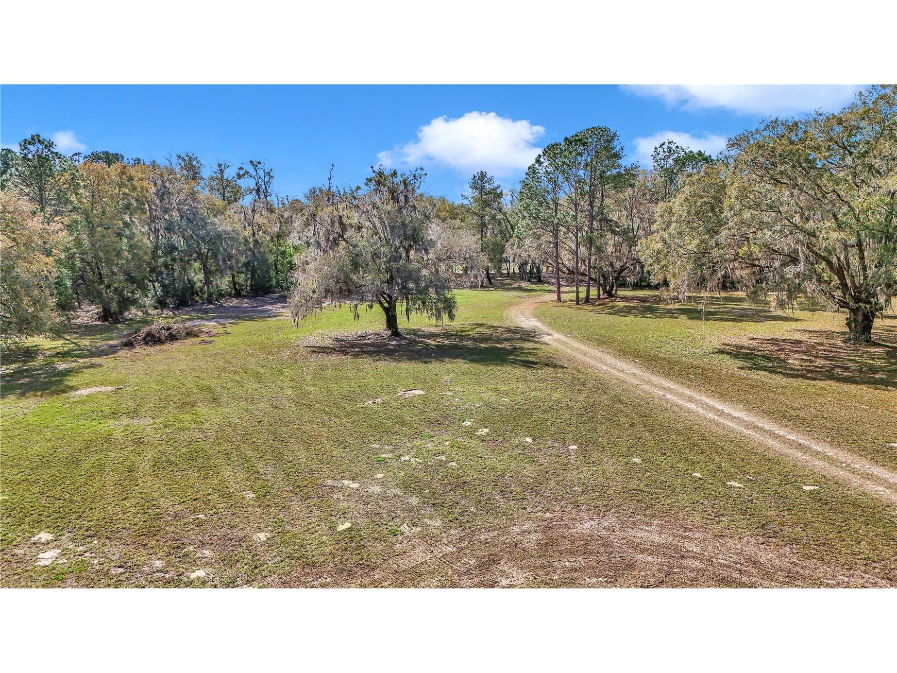 2580 NE 140th Street Citra FL 32113 O6382681 image2