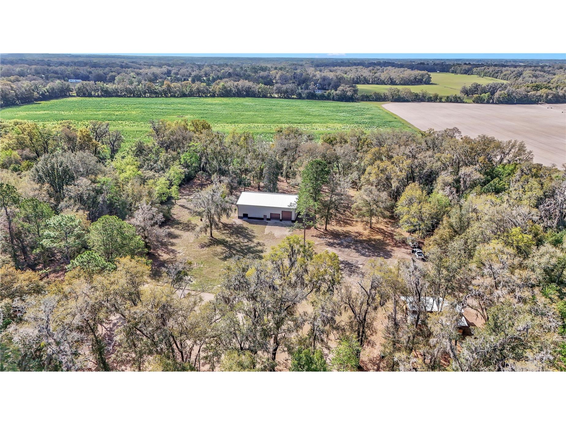 2580 NE 140th Street Citra FL 32113 O6382681 image25