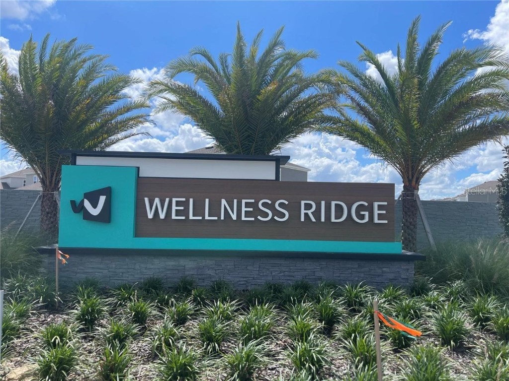 2580 Runners Circle Clermont FL 34714 O6354533 image24