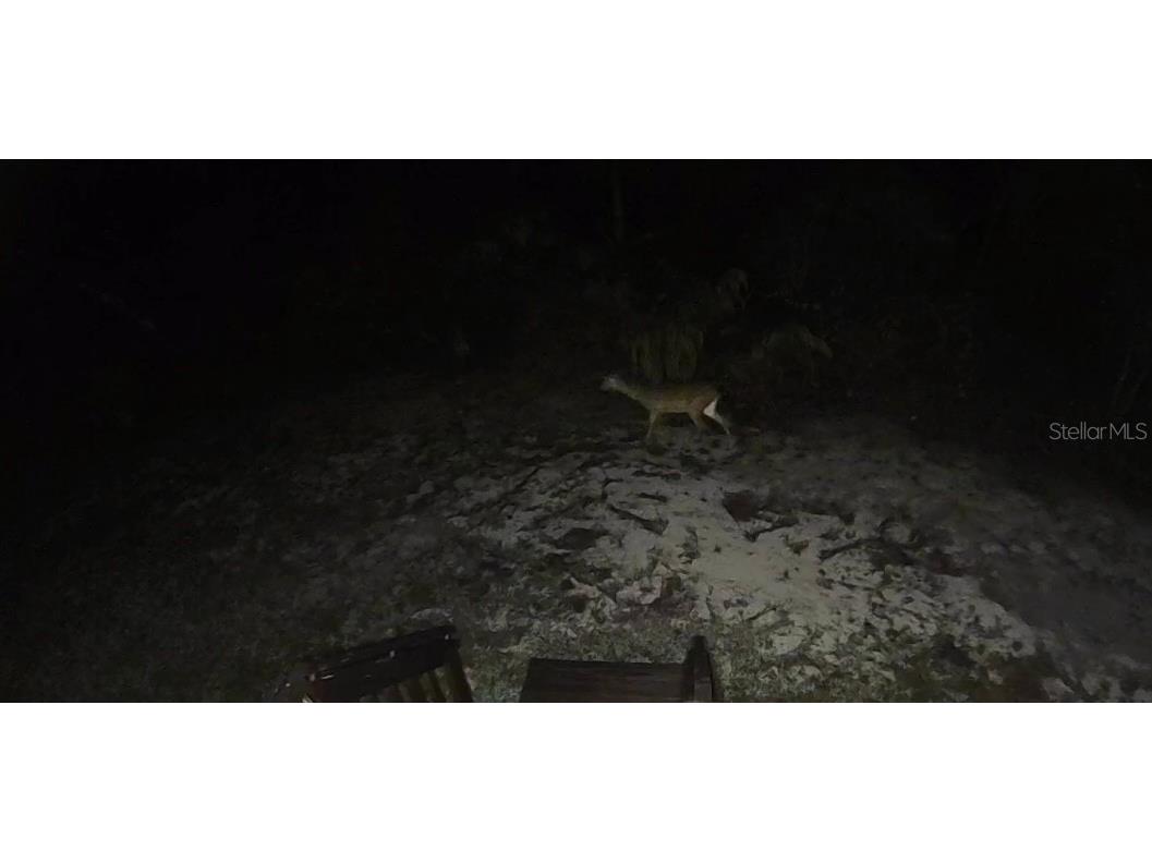 25800 Blue Lakes Drive Paisley FL 32767 O6361535 image25