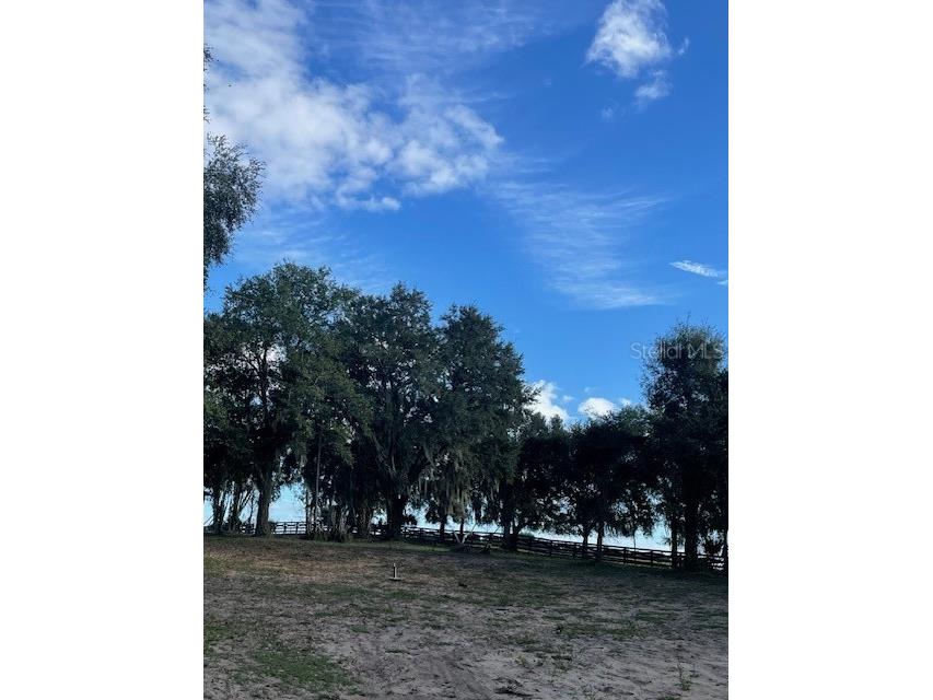 25800 Washington Street Astatula FL 34705 - LITTLE LAKE HARRIS O6231494 image10