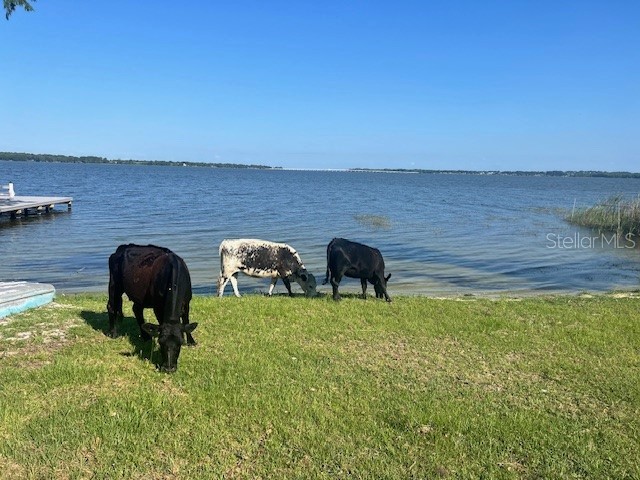 25800 Washington Street Astatula FL 34705 - LITTLE LAKE HARRIS O6231494 image4