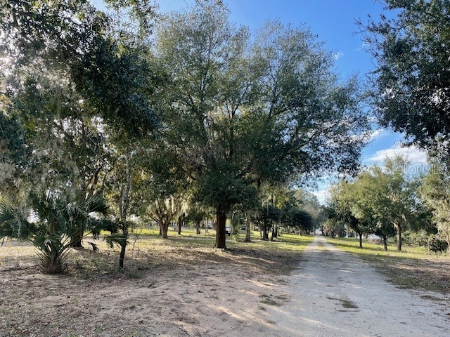 25800 Washington Street Astatula FL 34705 - LITTLE LAKE HARRIS O6231494 image8