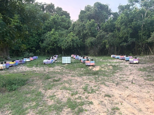 25800 Washington Street Astatula FL 34705 - LITTLE LAKE HARRIS O6231494 image9