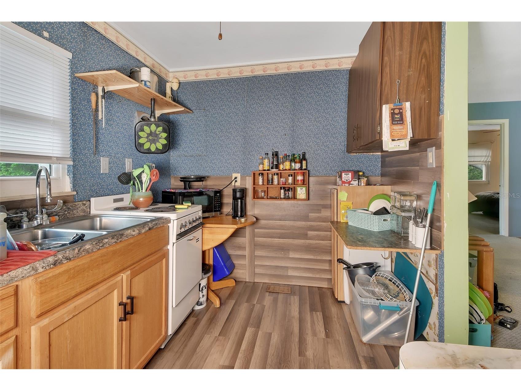 25801 Blue Lakes Drive Paisley FL 32767 - LULU V4948702 image11