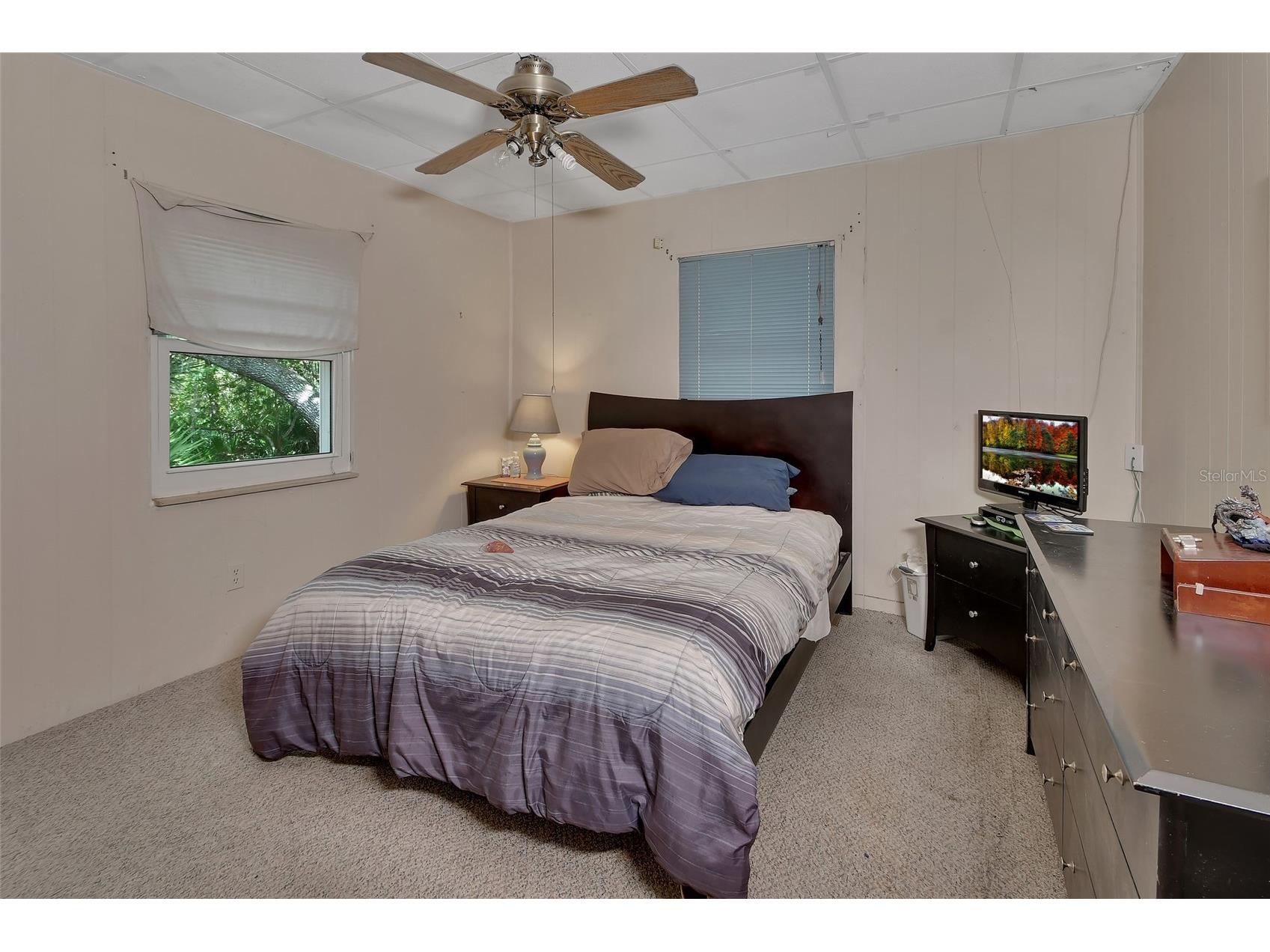 25801 Blue Lakes Drive Paisley FL 32767 - LULU V4948702 image12