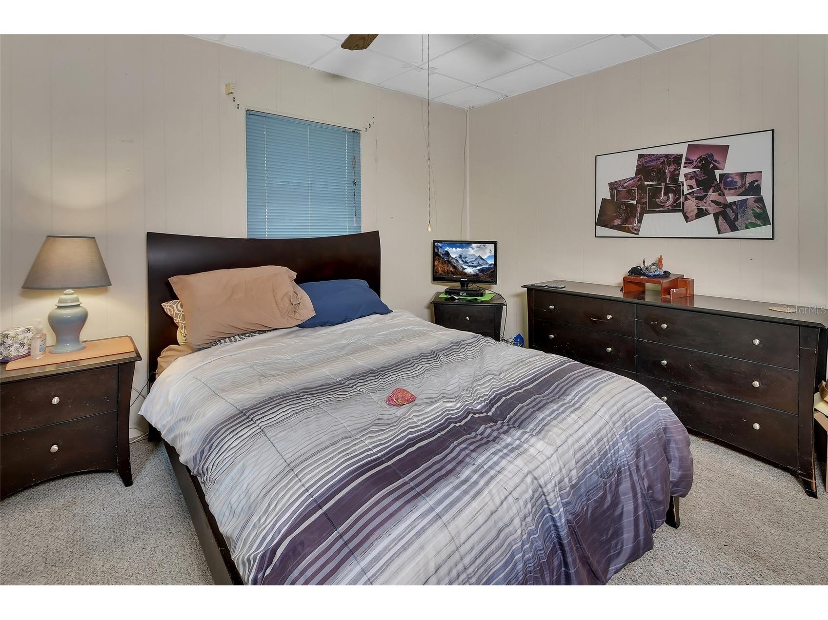 25801 Blue Lakes Drive Paisley FL 32767 - LULU V4948702 image13