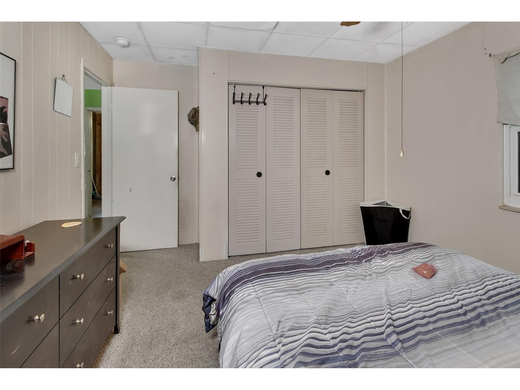 25801 Blue Lakes Drive Paisley FL 32767 - LULU V4948702 image14