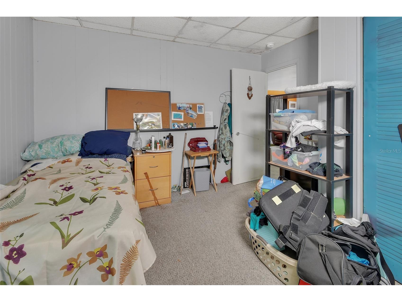 25801 Blue Lakes Drive Paisley FL 32767 - LULU V4948702 image17
