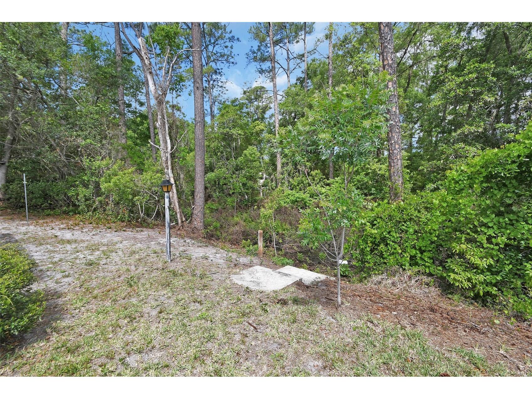 25801 Blue Lakes Drive Paisley FL 32767 - LULU V4948702 image23