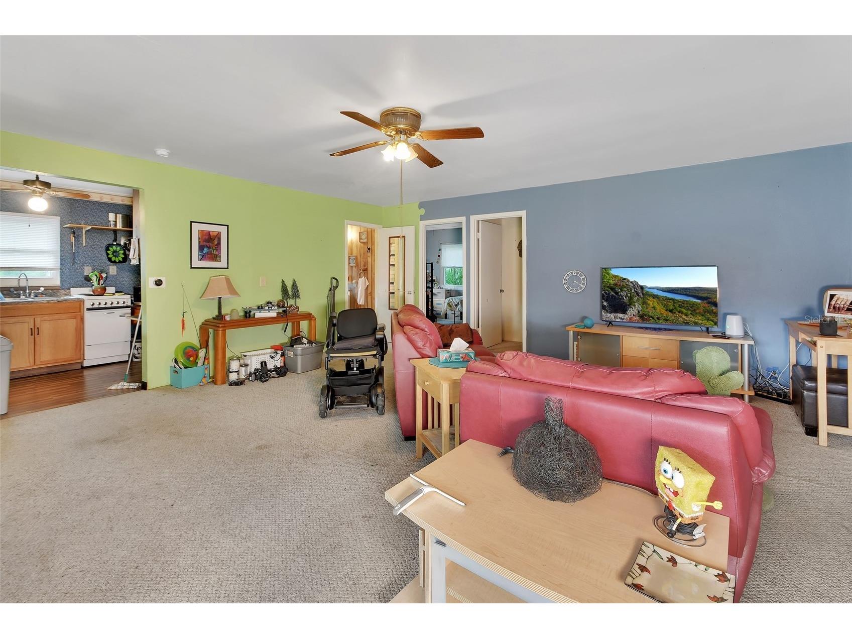 25801 Blue Lakes Drive Paisley FL 32767 - LULU V4948702 image8