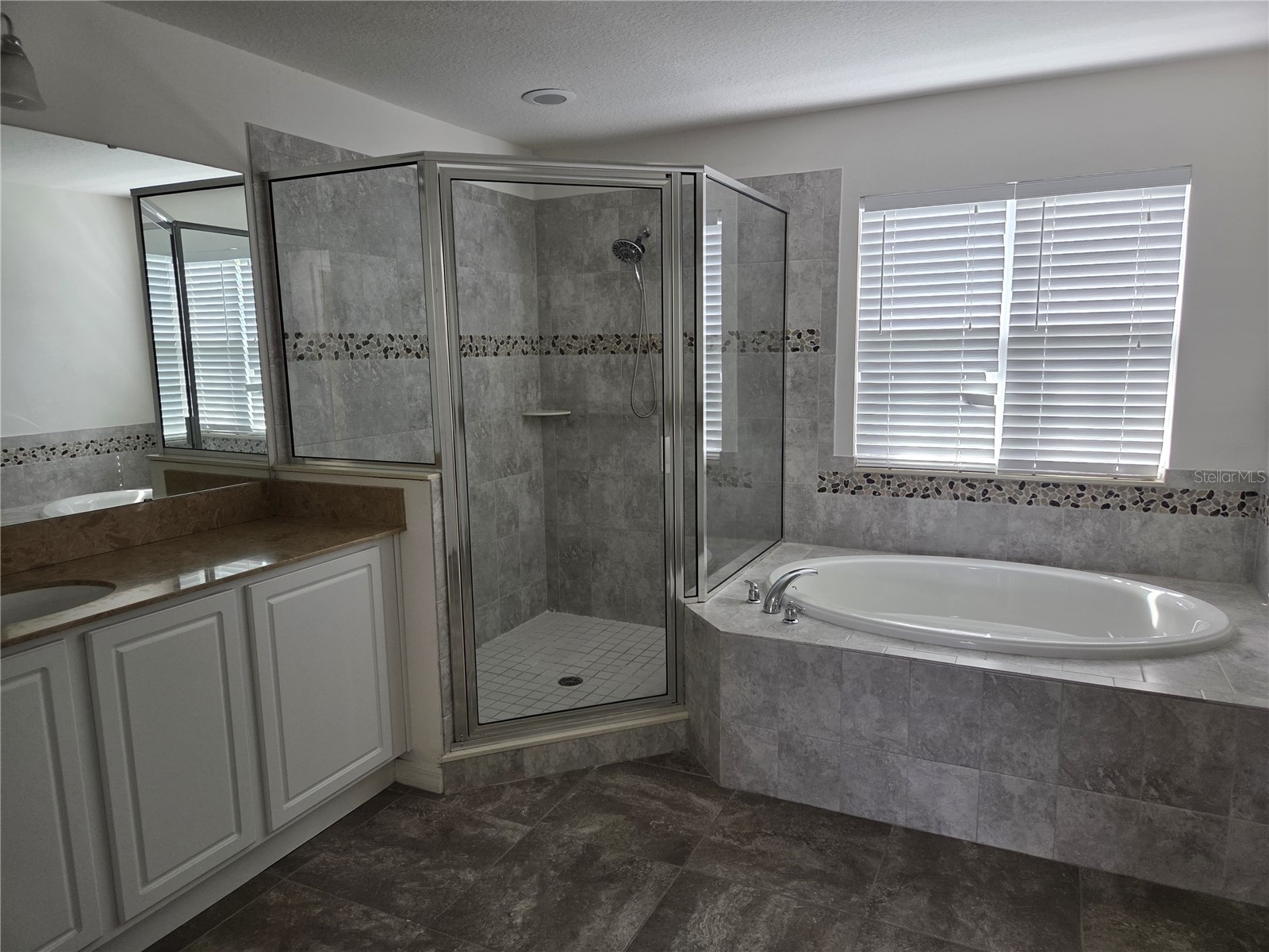 2581 Shoal Bass Way Kissimmee FL 34746 S5147299 image4