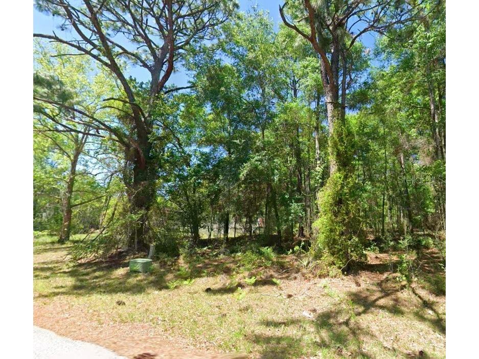 2581 W Pharaoh Court #28 Lecanto FL 34461 TB8508017 image1
