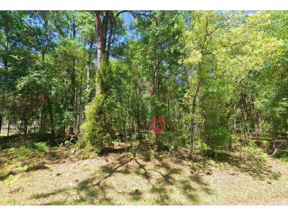 2581 W Pharaoh Court #28 Lecanto FL 34461 TB8508017 image2