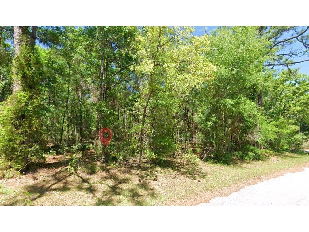2581 W Pharaoh Court #28 Lecanto FL 34461 TB8508017 image3