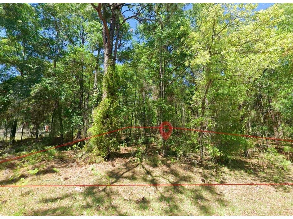 2581 W Pharaoh Court #28 Lecanto FL 34461 TB8508017 image4