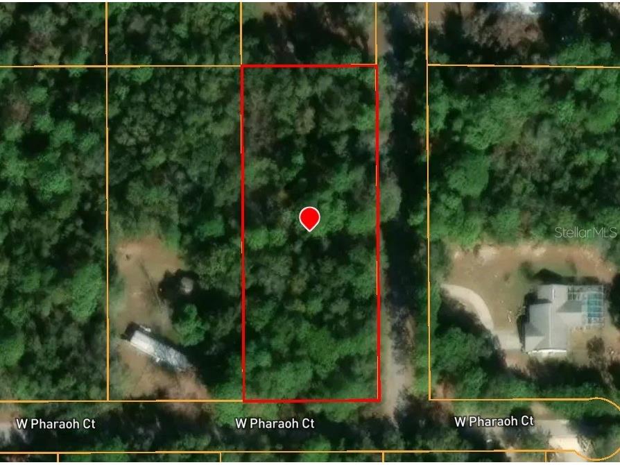 2581 W Pharaoh Court #28 Lecanto FL 34461 TB8508017 image6