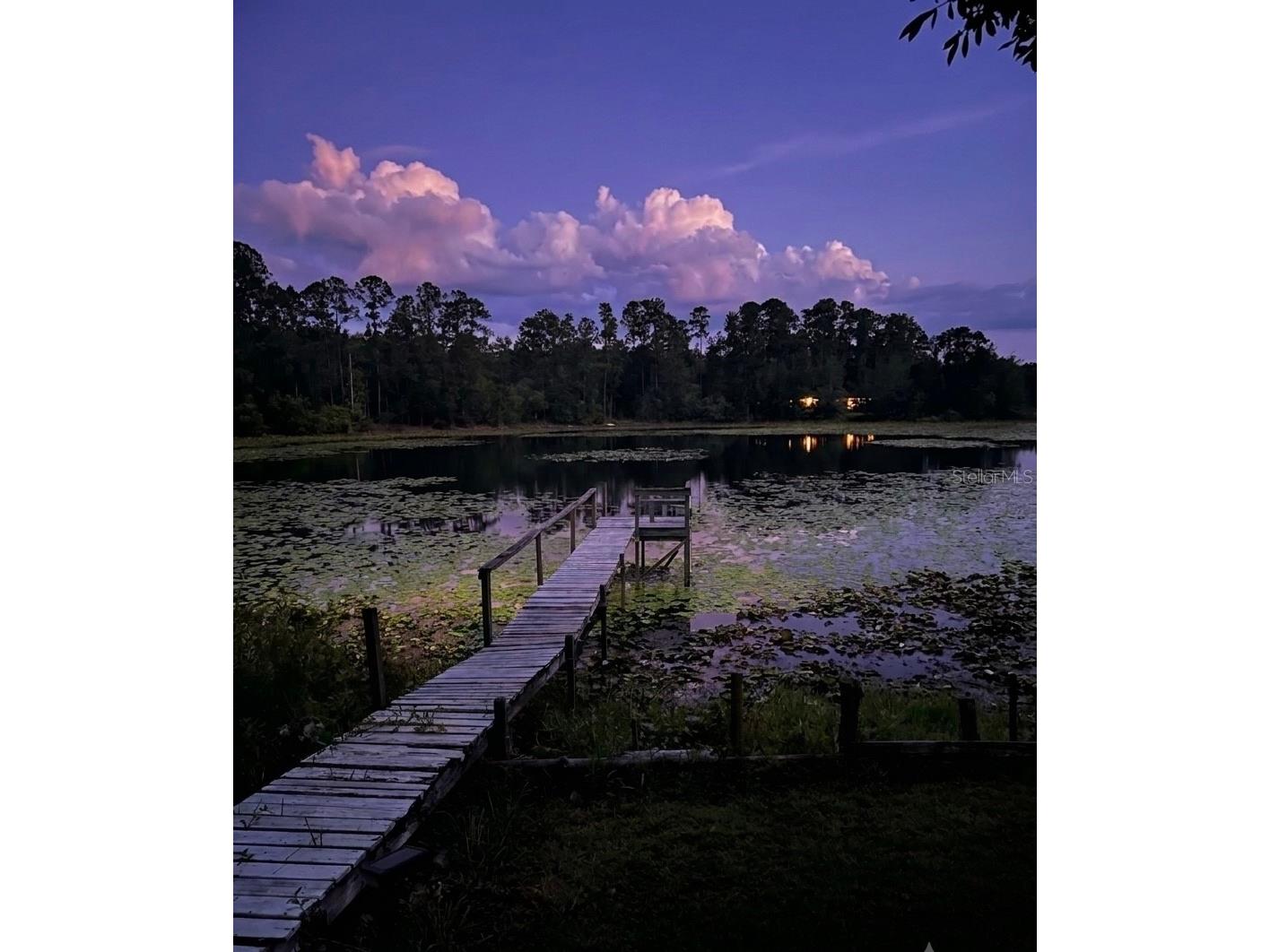 25814 Fishermans Road Paisley FL 32767 - LAKE SIDNEY O6422080 image8