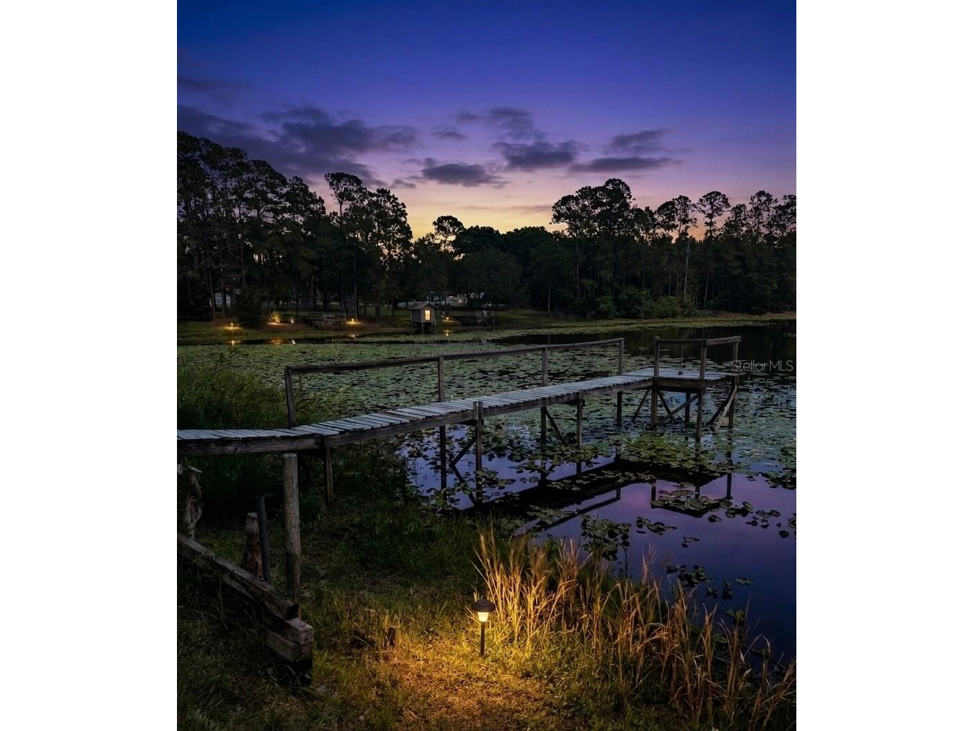 25814 Fishermans Road Paisley FL 32767 - LAKE SIDNEY O6422080 image9