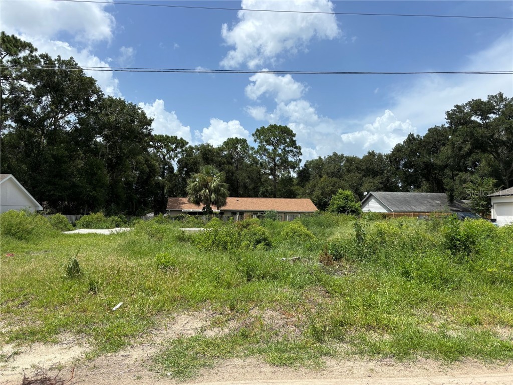 25815 Exmoor Drive Sorrento FL 32776 S5131544 image1