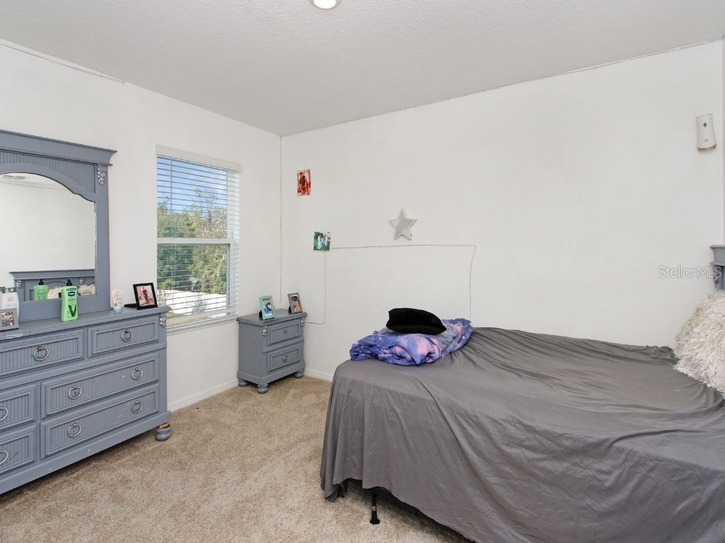 2582 Glacier Express Lane Tavares FL 32778 O6256888 image26