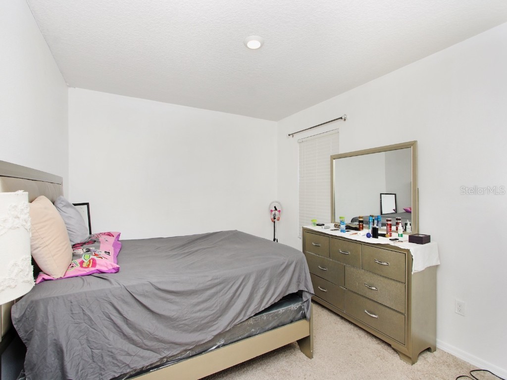 2582 Glacier Express Lane Tavares FL 32778 O6256888 image29