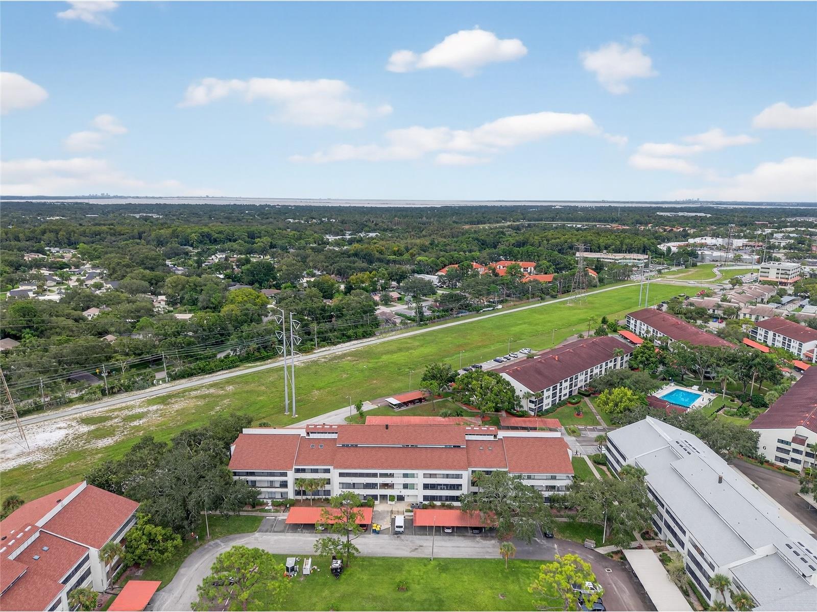 2583 Countryside Boulevard #3212 Clearwater FL 33761 TB8503476 image35