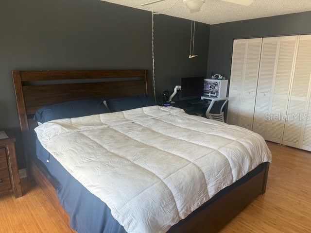 2583 Countryside Boulevard #3307 Clearwater FL 33761 TB8442371 image11