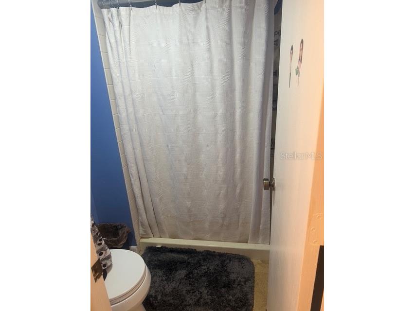 2583 Countryside Boulevard #3307 Clearwater FL 33761 TB8442371 image16