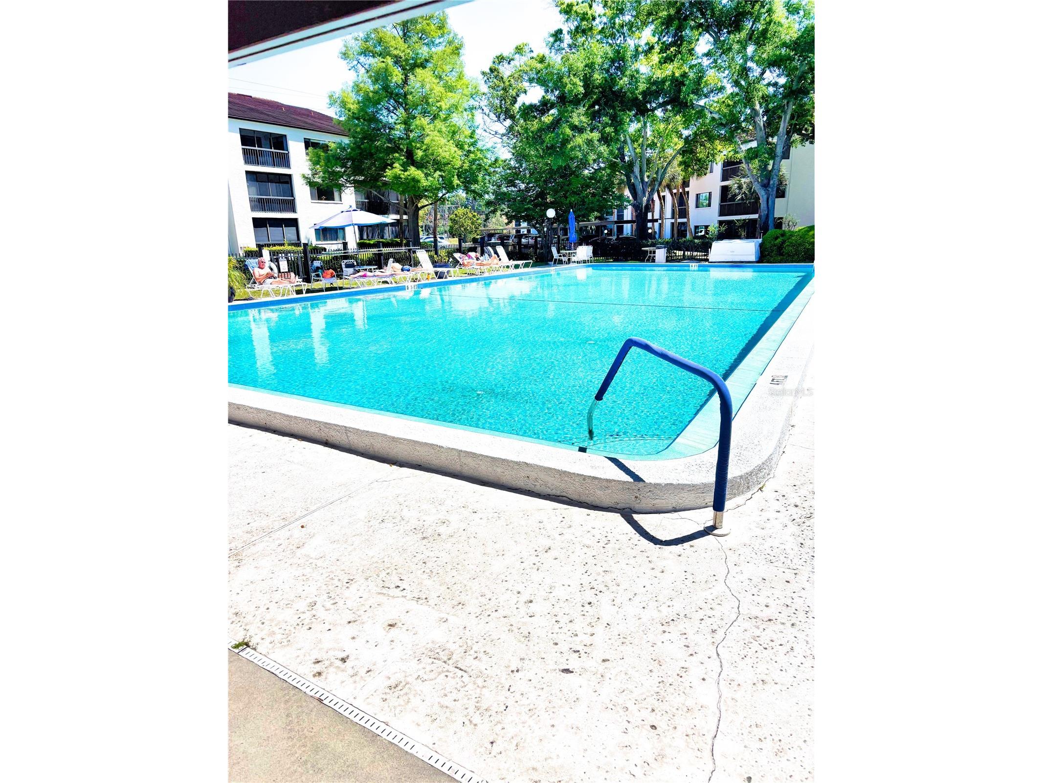 2583 Countryside Boulevard #3309 Clearwater FL 33761 O6399575 image22