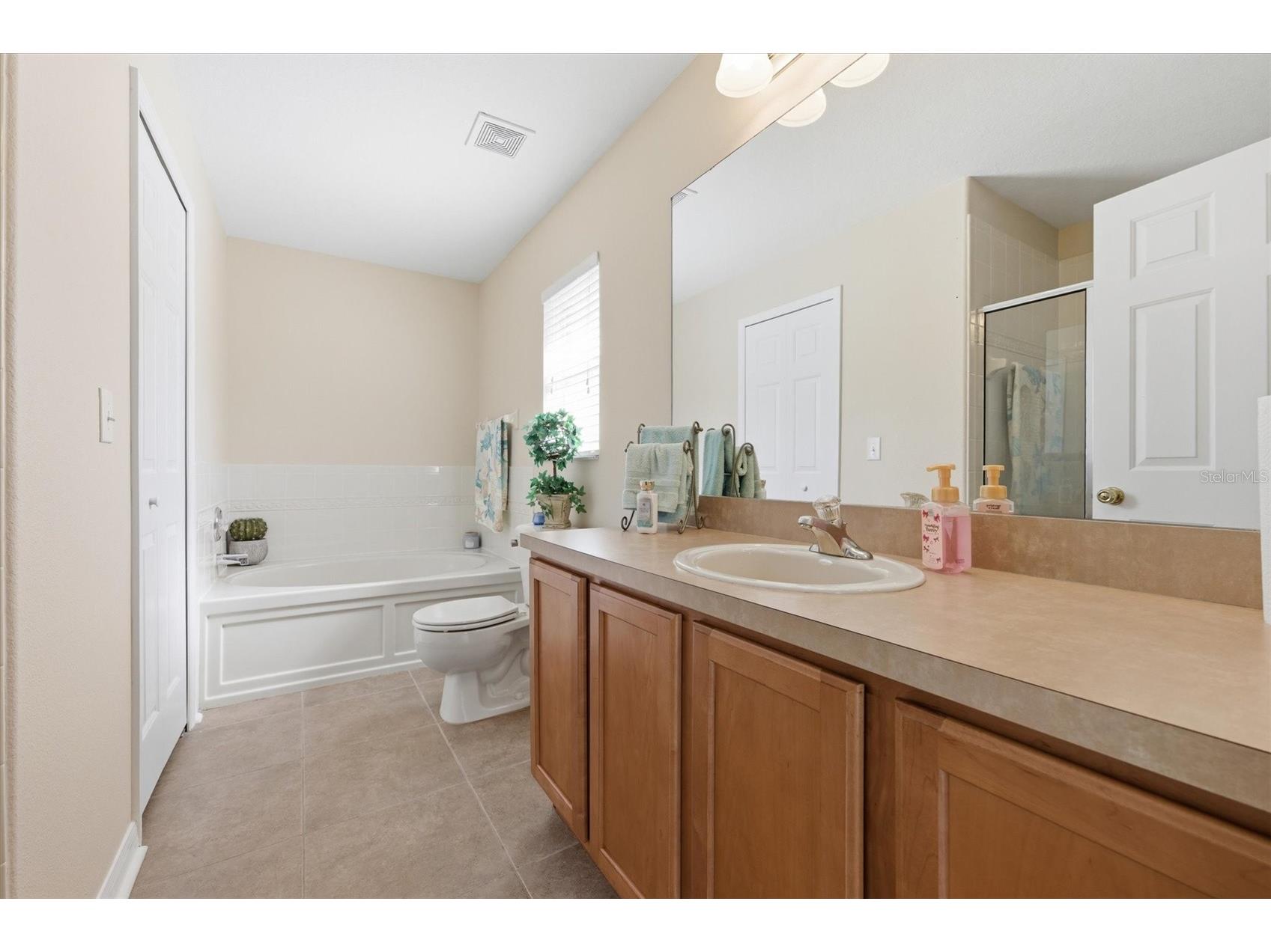 25831 Syme Court Land O Lakes FL 34639 TB8496089 image17