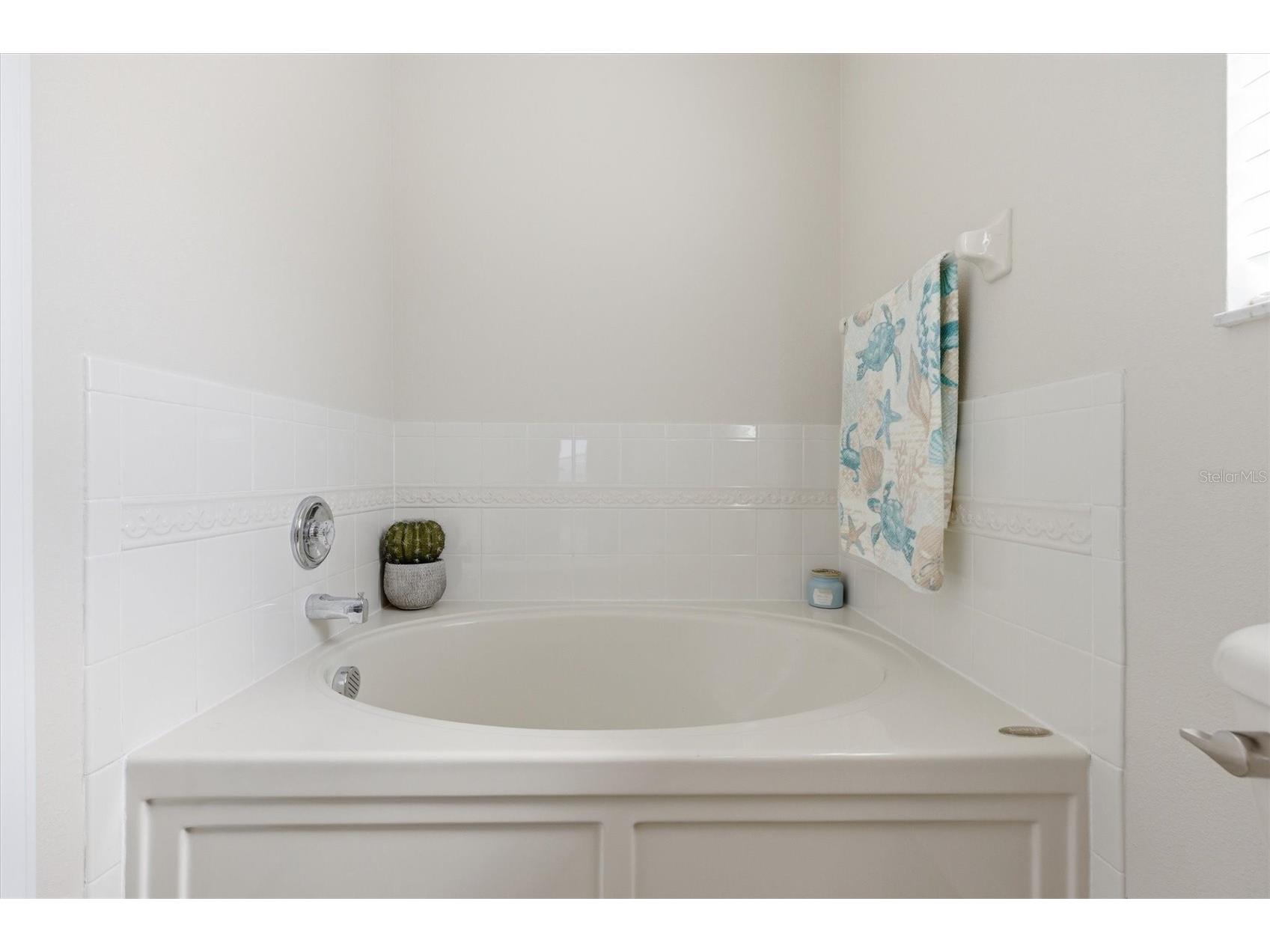 25831 Syme Court Land O Lakes FL 34639 TB8496089 image18
