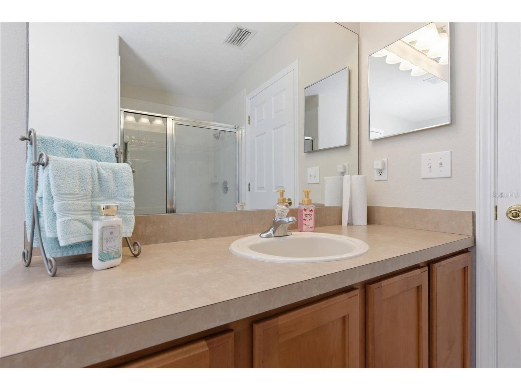 25831 Syme Court Land O Lakes FL 34639 TB8496089 image19