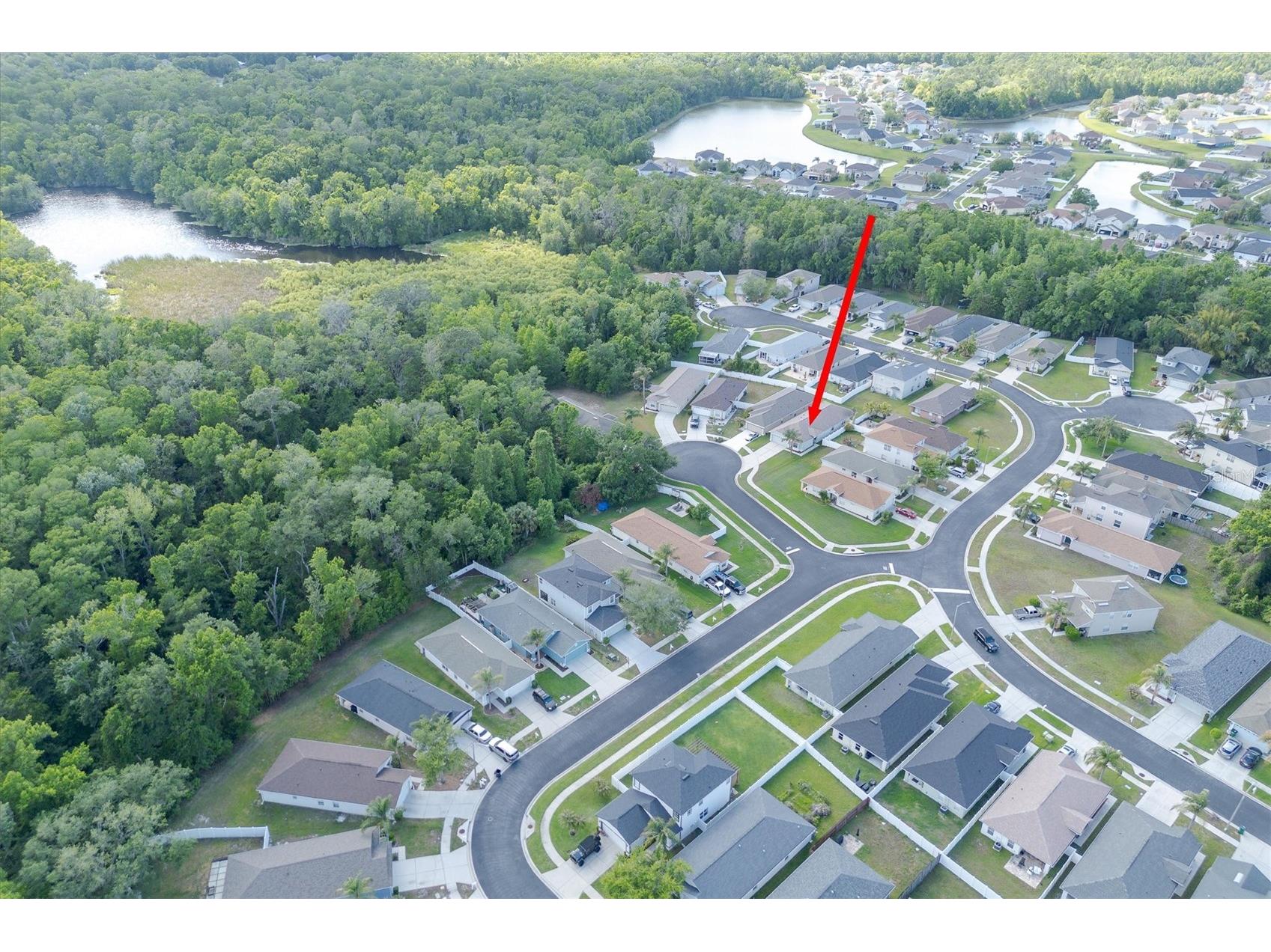 25831 Syme Court Land O Lakes FL 34639 TB8496089 image40