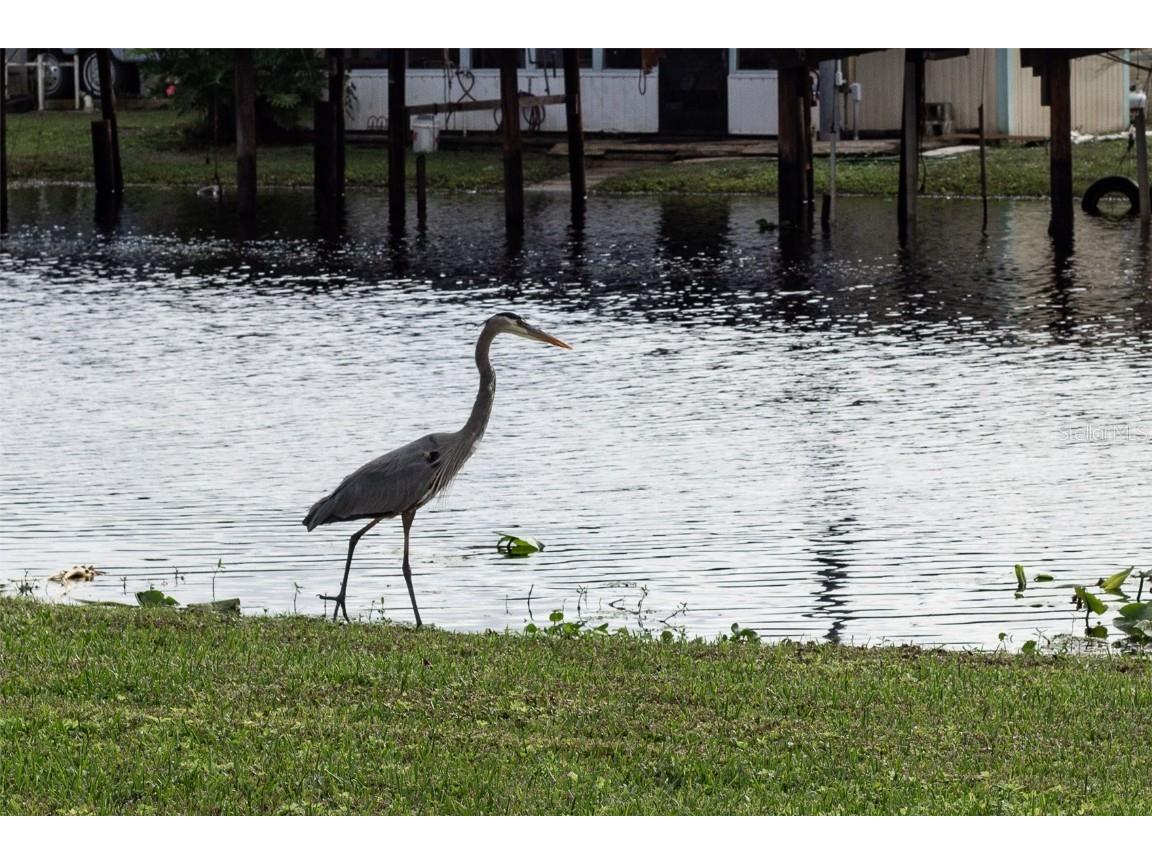 25836 Manhattan Lane Astor FL 32102 - ST JOHNS RIVER CANAL OM704111 image63