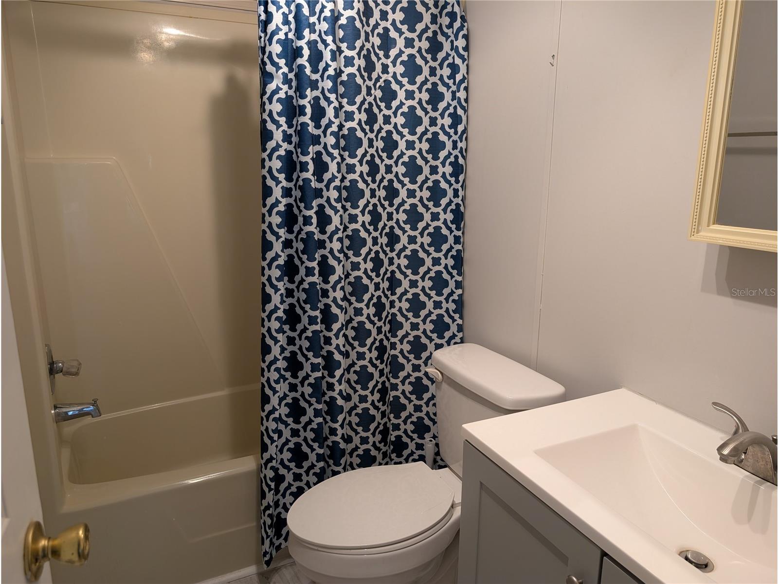 25836 Manhattan Lane Astor FL 32102 R4911060 image13