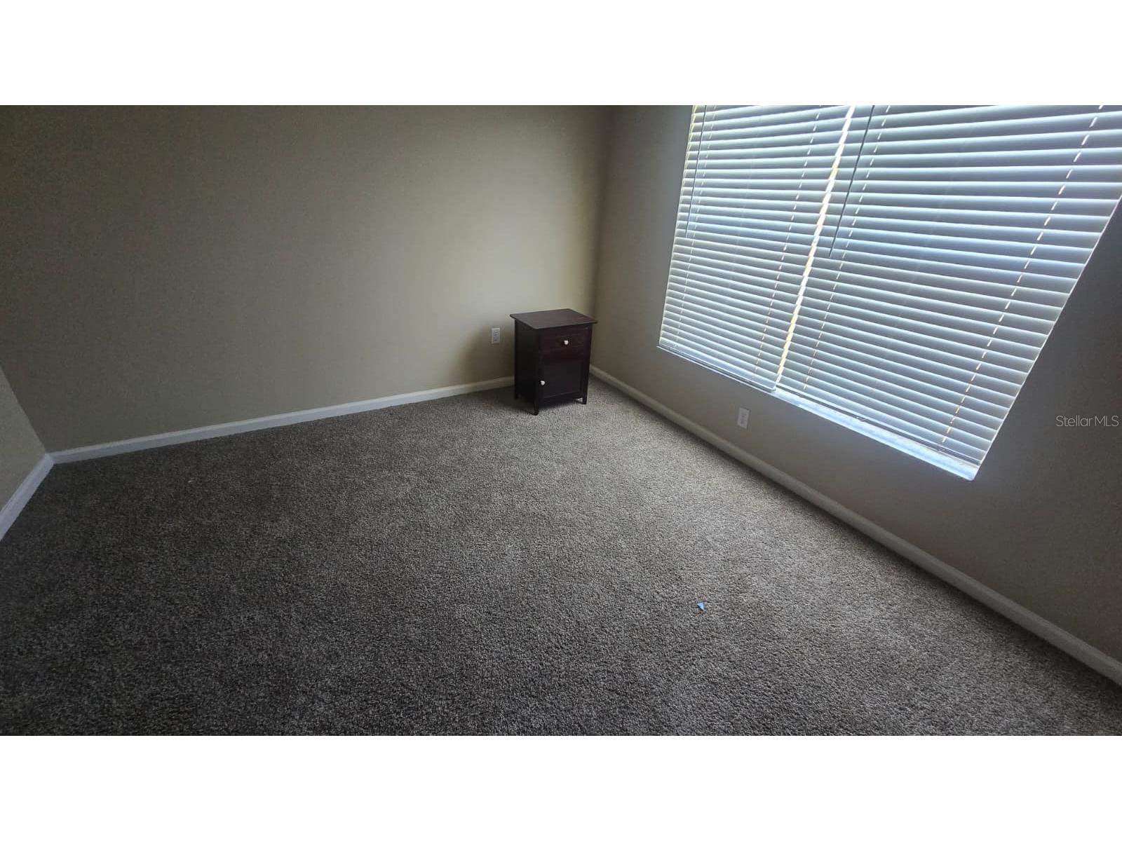 25837 Risen Star Drive Wesley Chapel FL 33544 TB8501458 image12