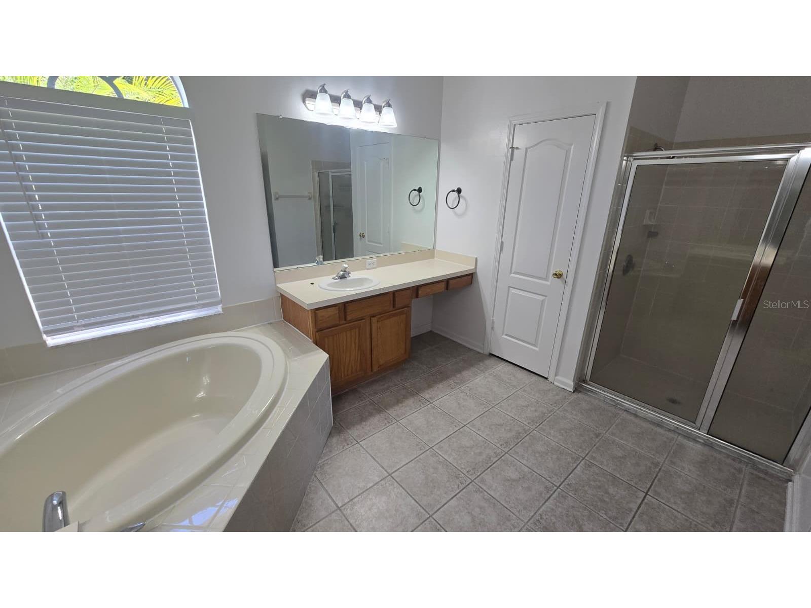 25837 Risen Star Drive Wesley Chapel FL 33544 TB8501458 image19