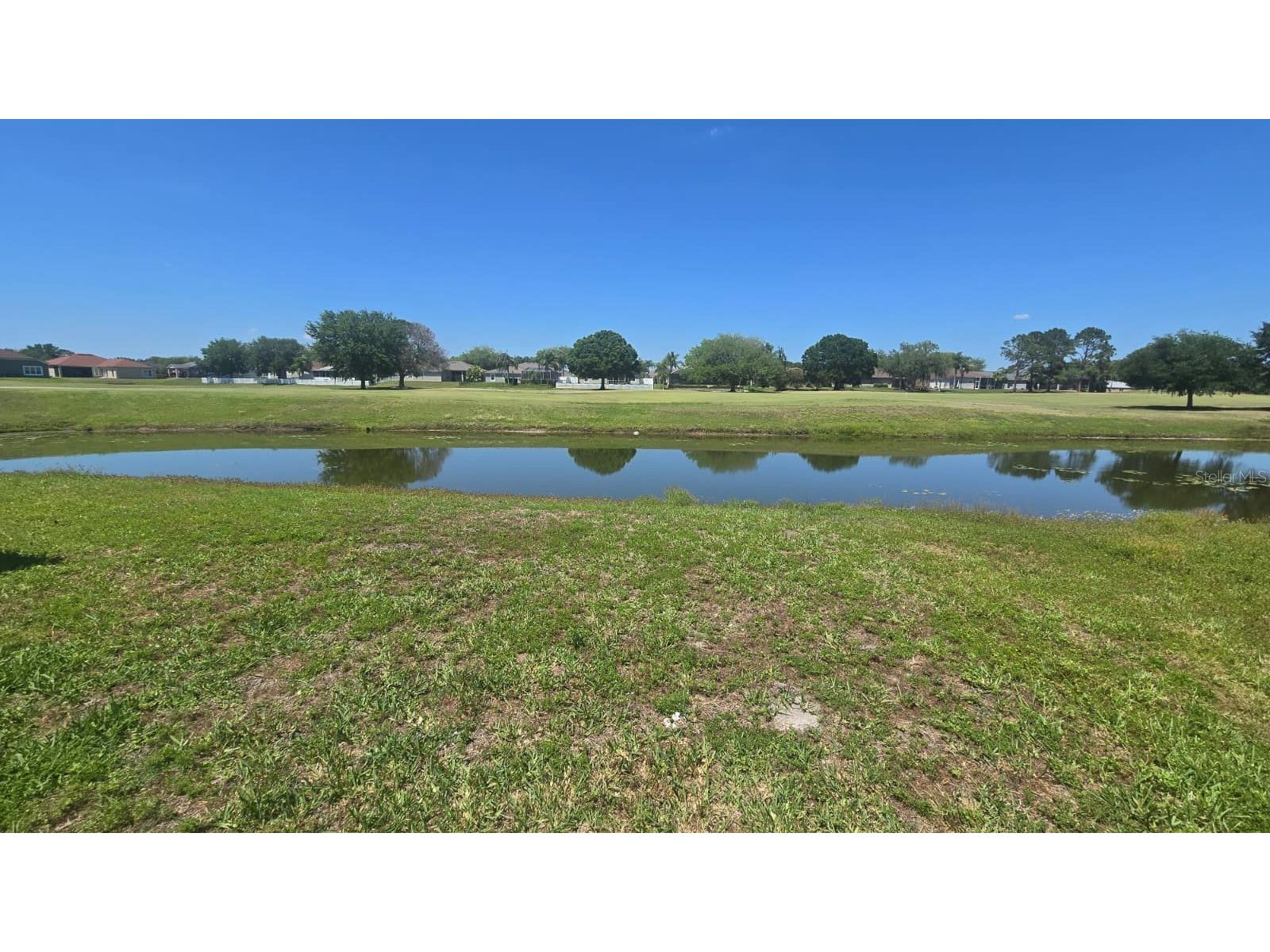 25837 Risen Star Drive Wesley Chapel FL 33544 TB8501458 image4