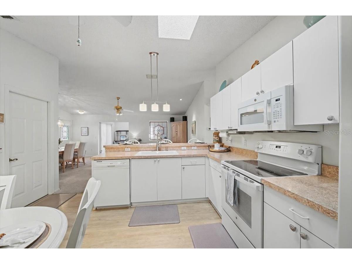 2584 Acosta Court The Villages FL 32162 G5106452 image16