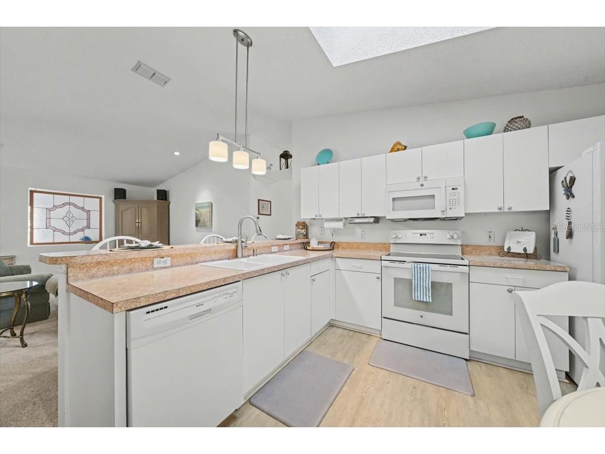2584 Acosta Court The Villages FL 32162 G5106452 image23
