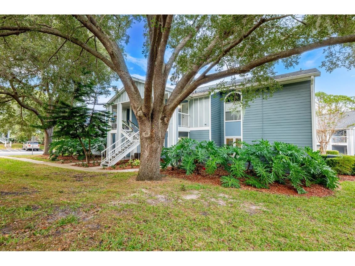 2584 Grassy Point Drive #106 Lake Mary FL 32746 O6368207 image5