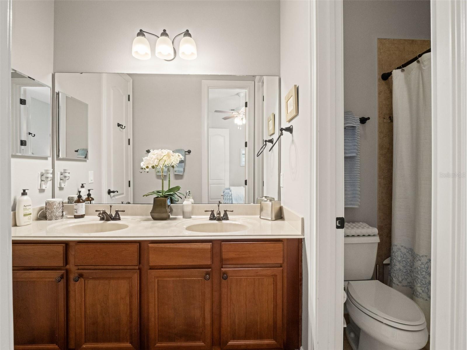 25840 Feather Ridge Lane Sorrento FL 32776 O6387179 image35
