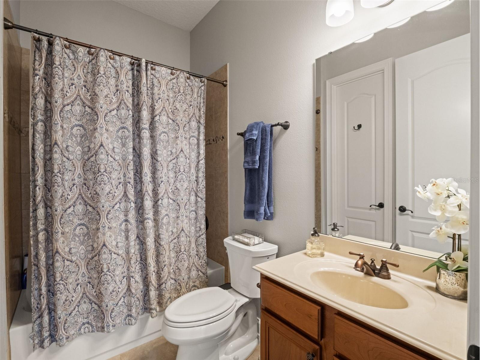 25840 Feather Ridge Lane Sorrento FL 32776 O6387179 image38