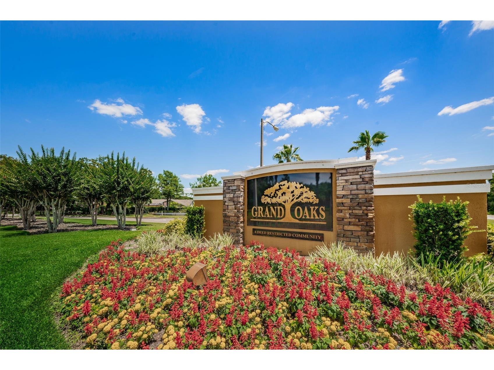 25841 Crippen Drive Land O Lakes FL 34639 TB8493086 image30