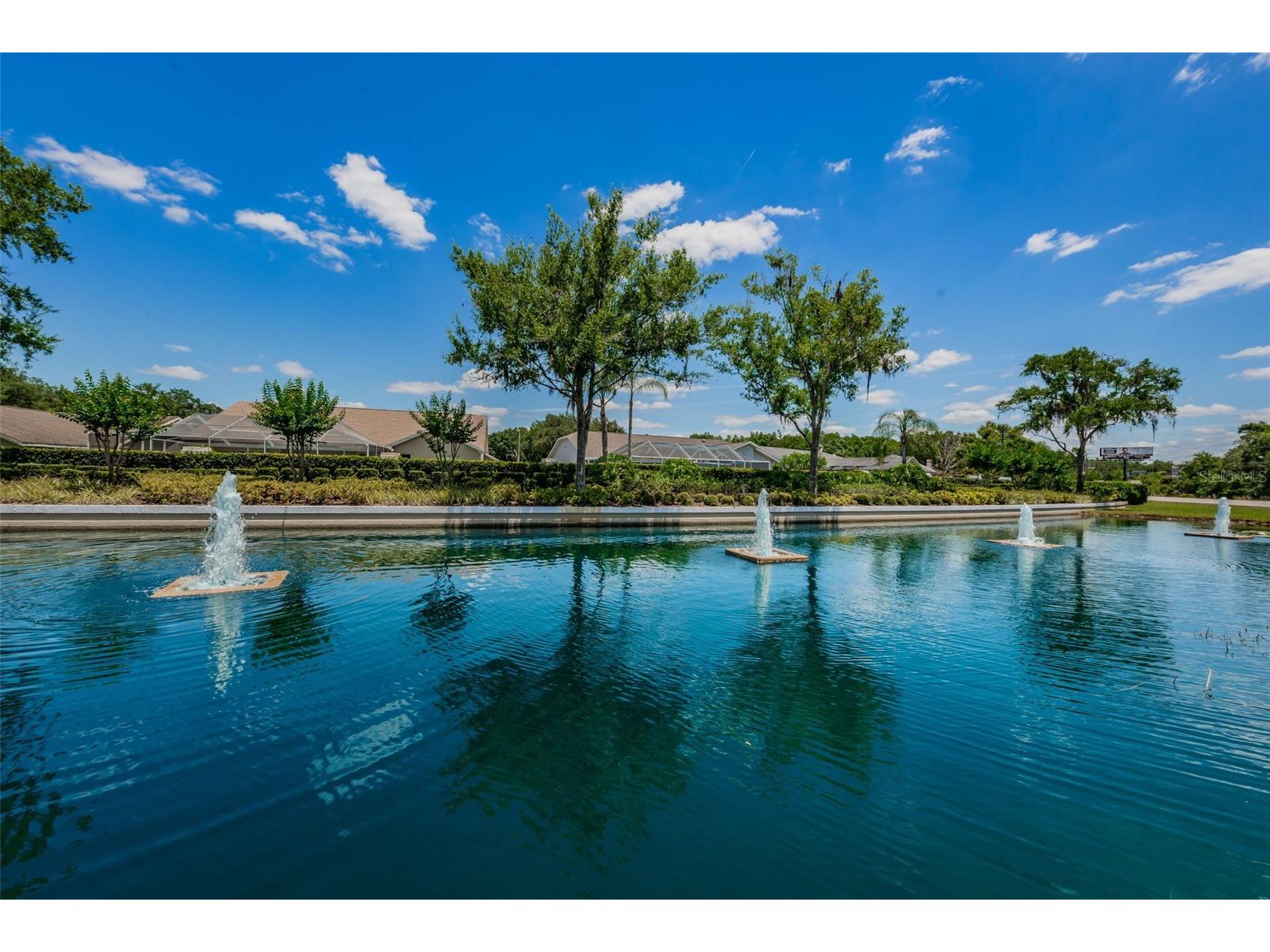 25841 Crippen Drive Land O Lakes FL 34639 TB8493086 image31